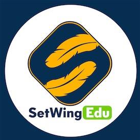 成都賽英教育咨詢 專業引領未來教育之路